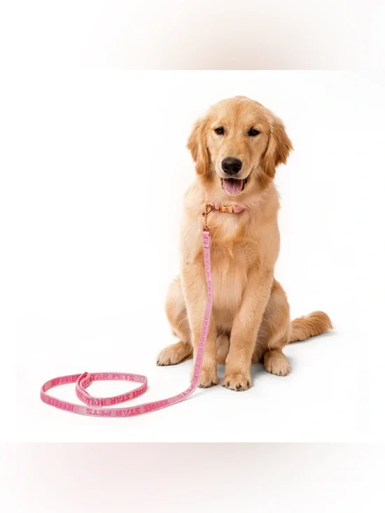 NWT - Jeffree Star Pets Large Pink Dog Leash - Picture 2 of 5